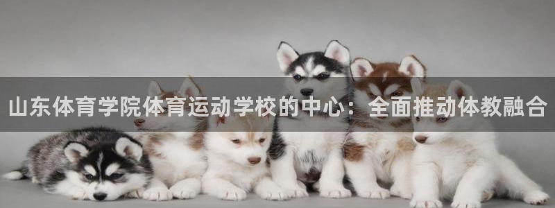 公海赌赌船官网下载招商电话号码：山东体育学院体育运动