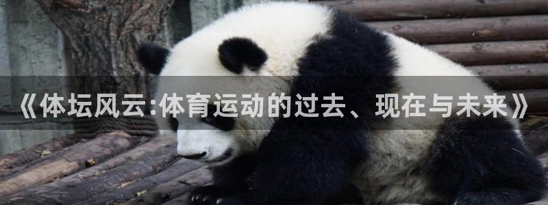 公海赌赌船官方集团官网：《体坛风云:体育运动的过去、