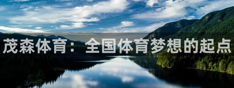 公海赌赌船官方正版app娱乐是那个系列的台子：茂森体