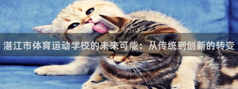 公海赌赌船官方正版app娱乐是那个系列的台子：湛江市体育运动
