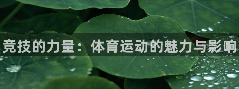 公海赌赌船官方正版app娱乐是那个系列的台子：竞技的力量：体