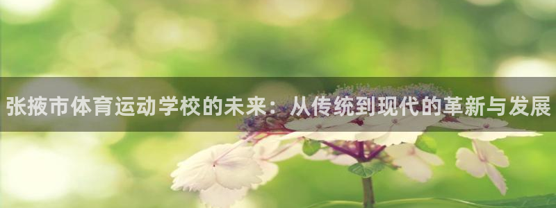 公海赌赌船官网下载平台注册要钱吗：张掖市体育运动学校的未来：