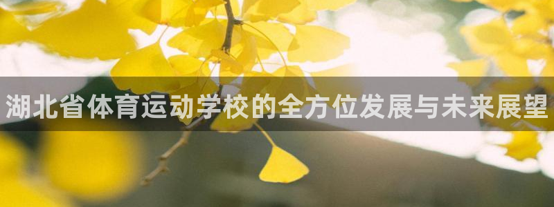 公海赌赌船官方正版app娱乐40996：湖北省体育运