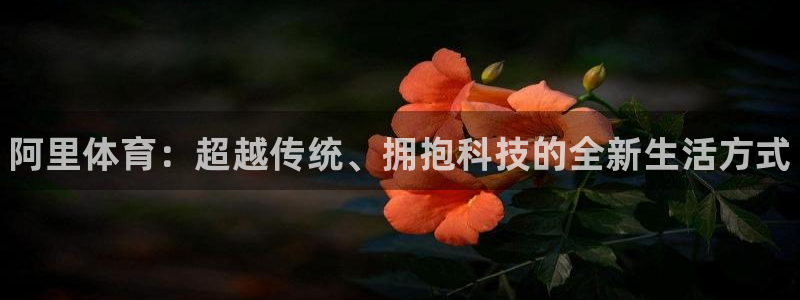 公海赌赌船官网下载平台APP：阿里体育：超越传统、拥