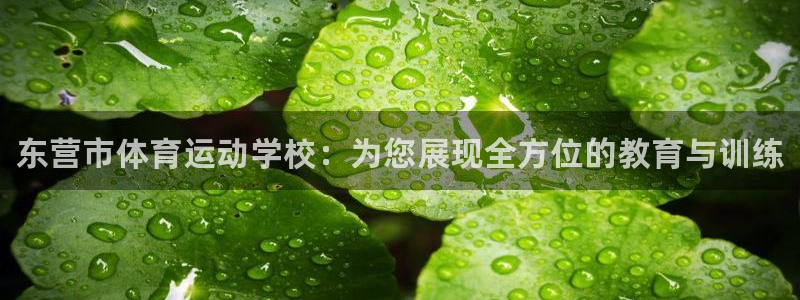 公海赌赌船官网下载平台假的吗是真的吗：东营市体育运动