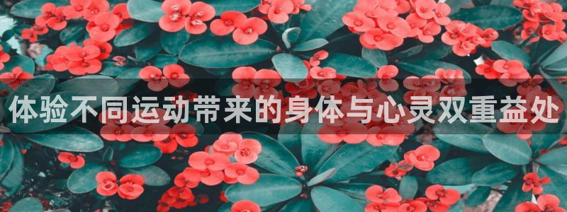 公海赌赌船官网下载是干嘛的公司：体验不同运动带来的身