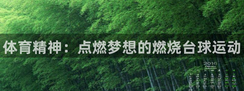公海赌赌船官网下载注册：体育精神：点燃梦想的燃烧台球