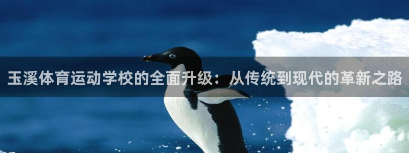 公海赌赌船官方正版app官方：玉溪体育运动学校的全面