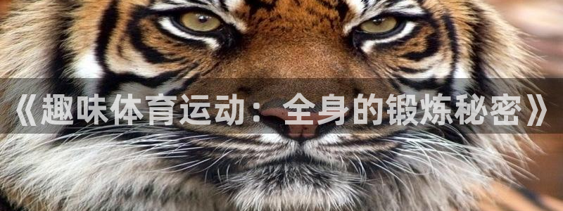 公海赌赌船官网下载注册：《趣味体育运动：全身的锻炼秘