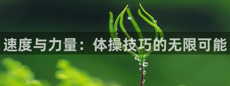 公海赌赌船官网下载娱乐