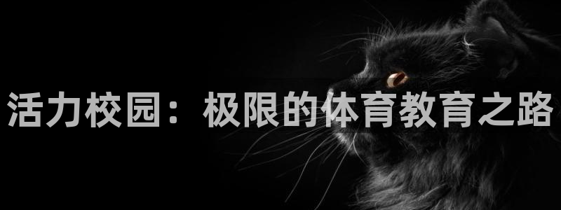 公海赌赌船官方正版app娱乐代理怎么样