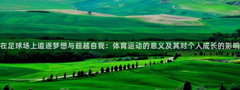 公海赌赌船官网下载招商电话号码：在足球场上追逐梦想与超越自我