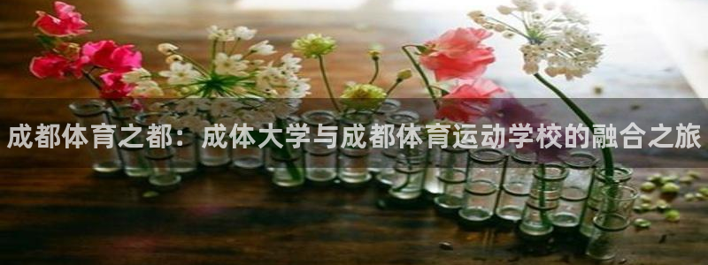 公海赌赌船官网下载招商电话号码