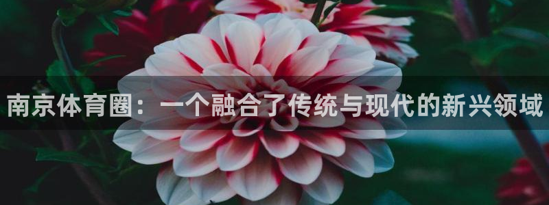 公海赌赌船官网下载平台注册要钱吗：南京体育圈：一个融合了传统