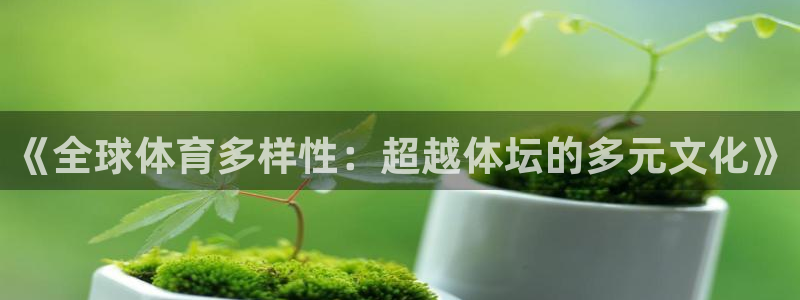 公海赌赌船官方正版app集团：《全球体育多样性：超越体坛的多