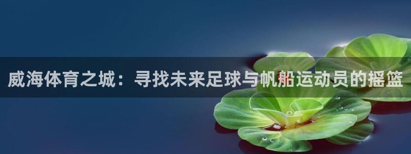 公海赌赌船官网下载平台注册要钱吗是真的吗：威海体育之城：寻找